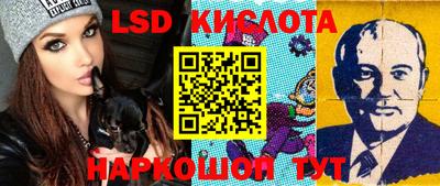 ПСИЛОЦИБИНОВЫЕ ГРИБЫ Новодвинск