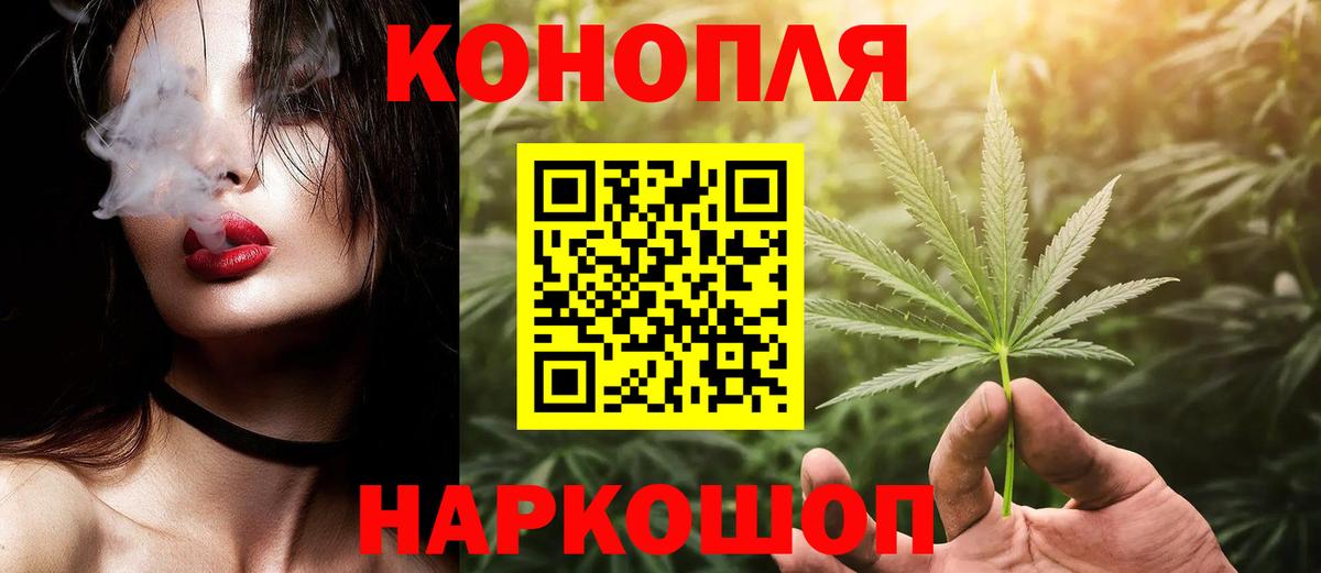 Шишки марихуана гибрид Печора